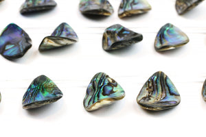 Natural Abalone Shell Gemstone Beads Curved Cut Marquise Stone 10 Per Strand