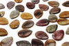 Jasper Teardrop Beads Multi Color Natural Gemstone Side Drilled Jewelry Supply