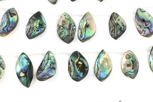 Natural Abalone Shell Gemstone Beads Curved Cut Marquise Stone 10 Per Strand
