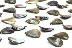 Abalone Shell Teardrop Beads Loose Natural Gemstone Jewelry Making Top Drilled